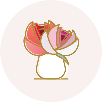 web design package shopify